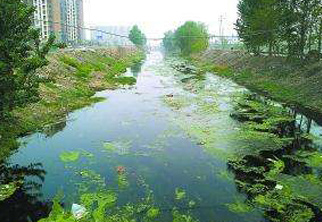 地下水檢測項目二